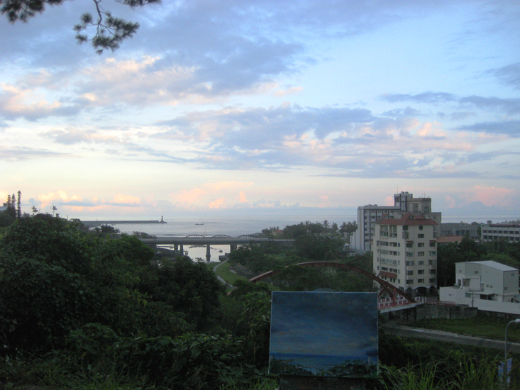 painter 2009 c